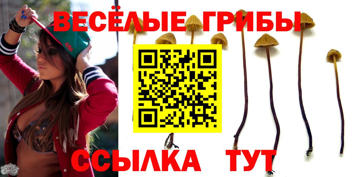Псилоцибиновые грибы мицелий Троицк